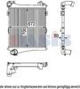 RENAULT 20810109 Intercooler, charger